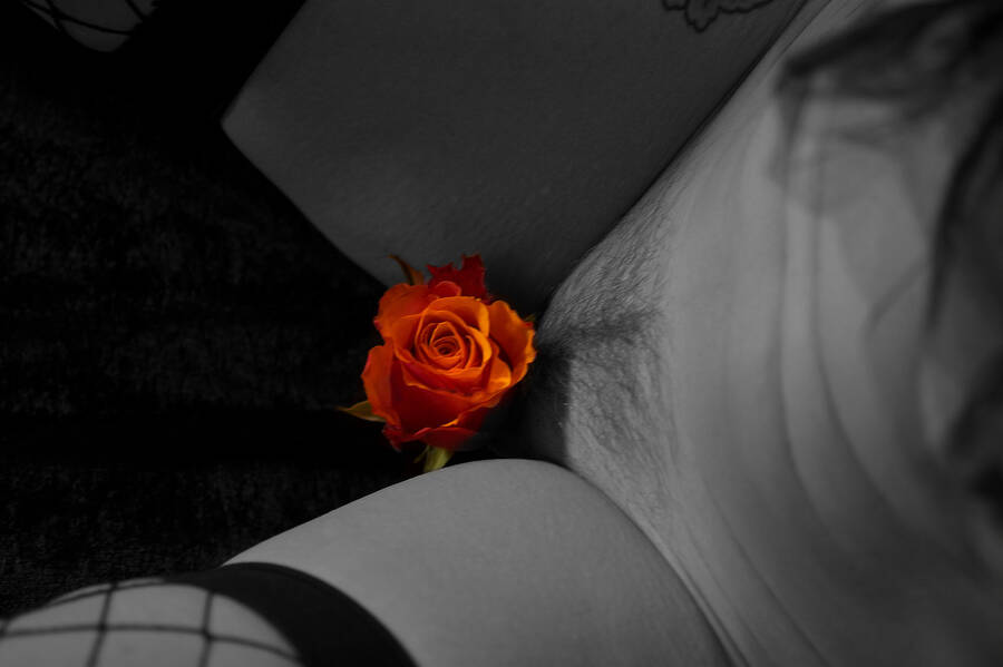 photographer JetStreamPhotos art nude modelling photo with Not on AdultFolio