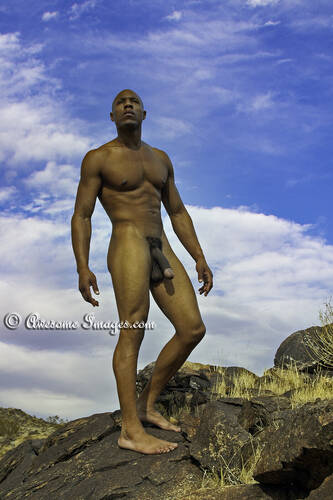 photographer Al George  Awesome Images Male Photography art nude modelling photo taken at Palm Springs CA with Not on AdultFolio