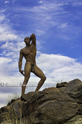 photographer Al George  Awesome Images Male Photography art nude modelling photo taken at Palm Springs CA with Not on AdultFolio