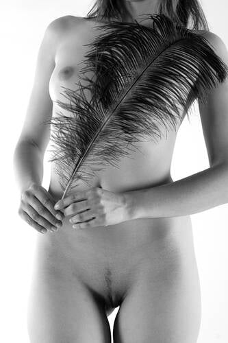 photographer ArtemaXX art nude modelling photo with Not on AdultFolio. ostrich feathers give you a very exciting feeling i use it for tantra and photography.