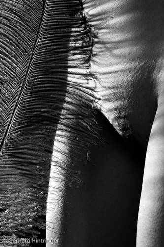 photographer ArtemaXX uncategorized modelling photo