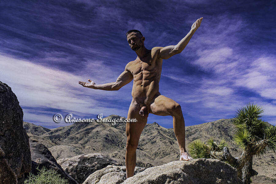 photographer Al George  Awesome Images Male Photography art nude modelling photo taken at Joshua Tree National Park with Not on AdultFolio