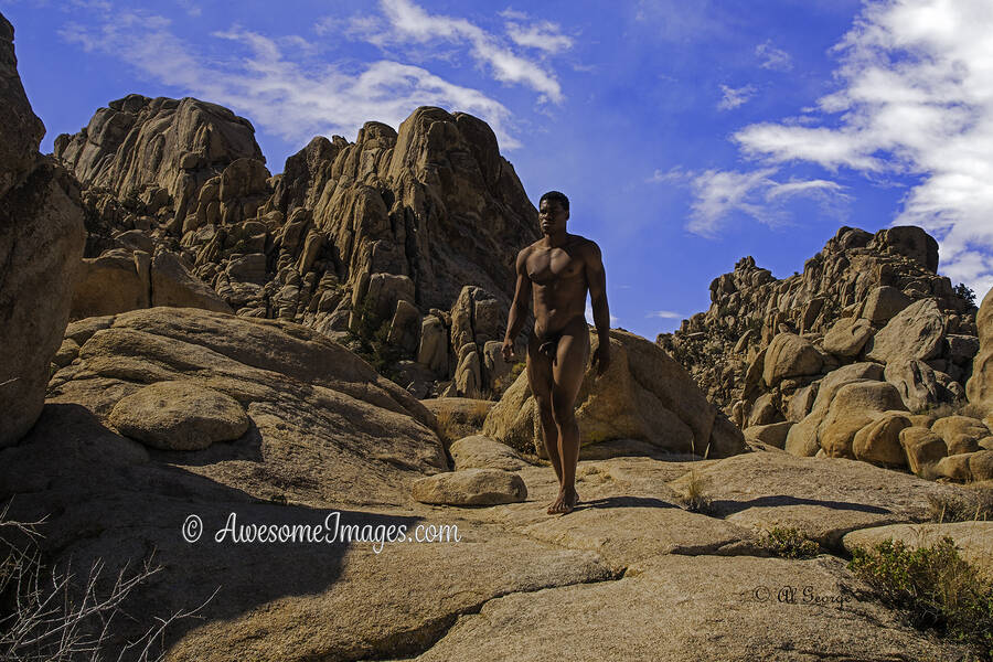 photographer Al George  Awesome Images Male Photography art nude modelling photo taken at Joshua Tree Nat'l Park with Not on AdultFolio